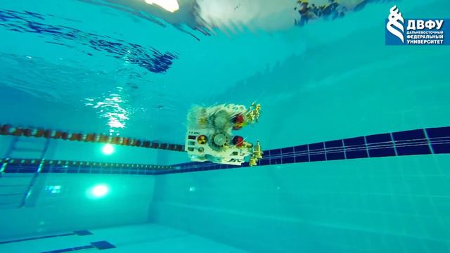 ролик ДВФУ для ВЭФ 2017 1