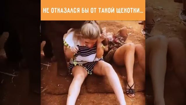 Не отказался бы от такой щекотки... смотреть онлайн