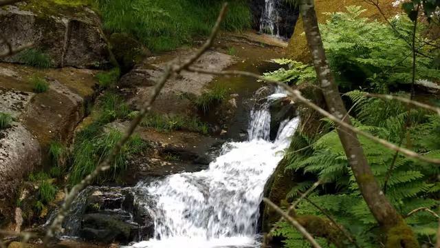 TUBULAR MEDLEY MIKE OLDFIELD смотреть онлайн