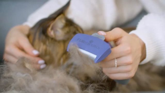 Инструменты против линьки FURminator сокращают линьку до 90% смотреть онлайн