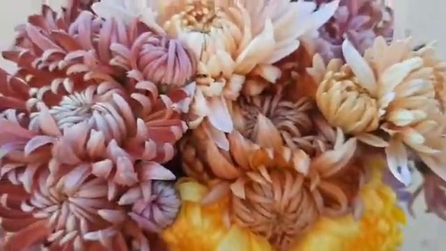 Хризантемы 2020