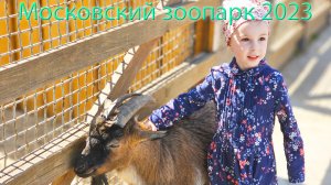 Московский зоопарк. Обзорное видео Московского зоопарка. Гуляем по Московскому зоопарку 13 мая 2023г