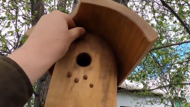 Элитная дуплянка для синицы смотреть онлайн