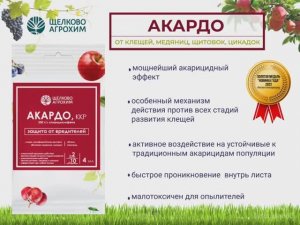 Мощная смесь от вредителей на даче