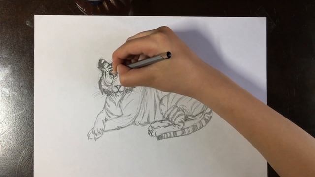 {How to draw a tiger/SpeedPaint/ как срисовать тигра} смотреть онлайн