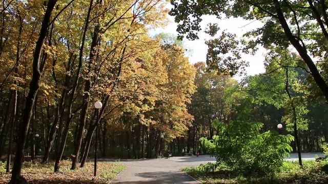 Орёл. Парк Ботаника . 2021.mp4 смотреть онлайн