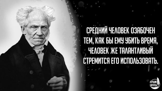 Каждый хочет иметь... | ЦИТАТЫ АРТУР ШОПЕНГАУЭР смотреть онлайн