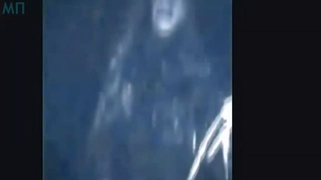 10 РЕАЛЬНЫЕ ЙЕТИ СНЯТЫЕ НА КАМЕРУ БИГ ФУТЫ СНЯТЫЕ ОЧЕВИДЦАМИ смотреть онлайн