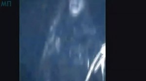 10 РЕАЛЬНЫЕ ЙЕТИ СНЯТЫЕ НА КАМЕРУ БИГ ФУТЫ СНЯТЫЕ ОЧЕВИДЦАМИ