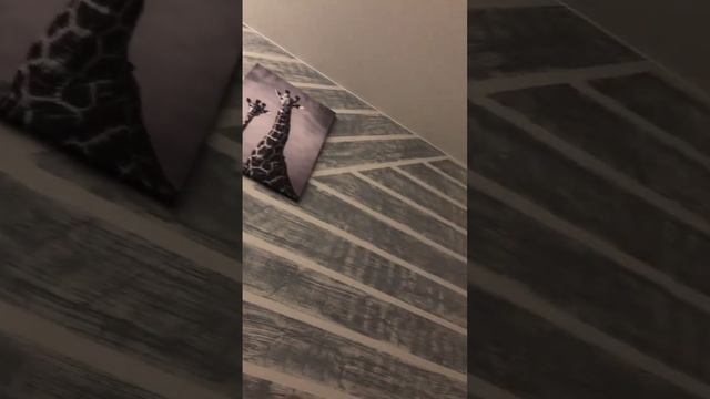 Комната своя ремонт идет в польном ходом #ремонт #ремонтквартир #ремонтсвоимируками смотреть онлайн