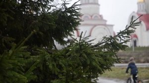 Покупка автомобиля, который в залоге у Банка