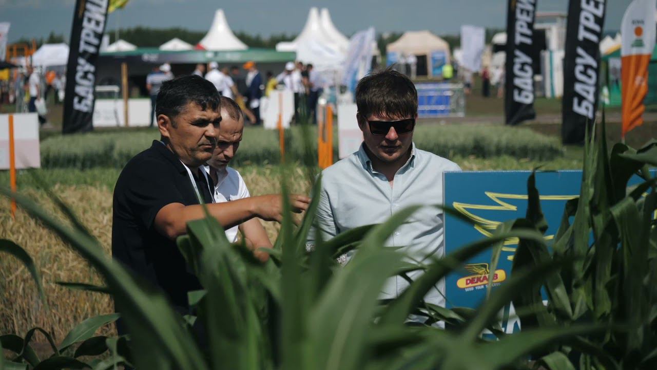 Bayer video ver 30_11_21 смотреть онлайн