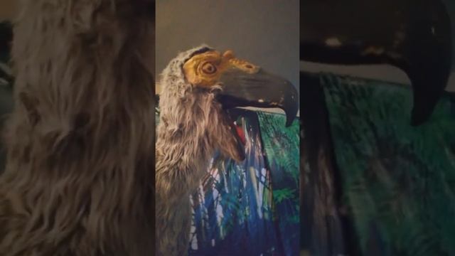 к нам приезжали гиганты Ледникового периода из Санкт-Петербурга смотреть онлайн