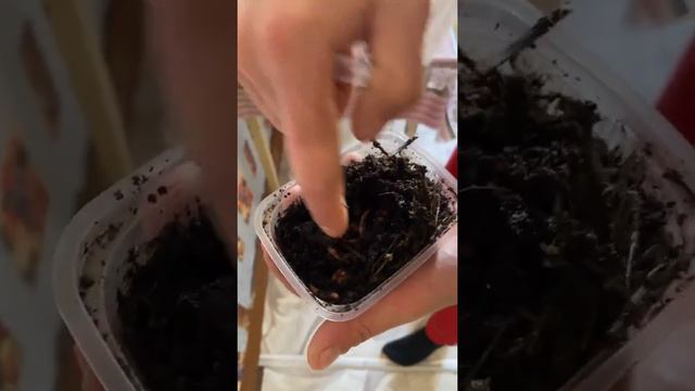 БЕЗУМНЫЙ ПАША. ЗАВТРА ЕДУ НА РЫБАЛКУ С БРАТВОЙ. смотреть онлайн