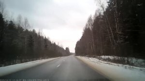 Сбили лося на дороге/Ran down a moose on the road