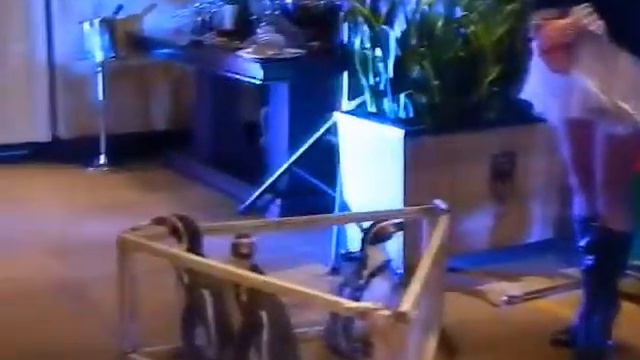 Кенгуру, енот и пингвины на юбилей- 8(965)380-13-11 смотреть онлайн