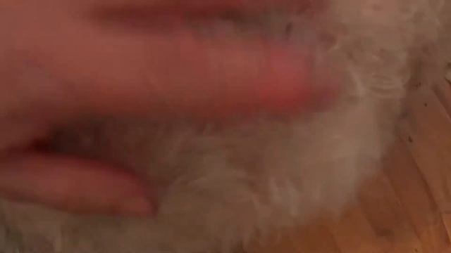 фокс покрылся перхотью смотреть онлайн