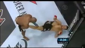 Gegard Mousasi vs King Mo Lawal Бои без правил Жёсткий бой !