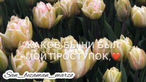 Анна Егоян - Мама