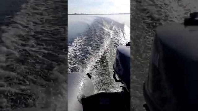 мотор Yamaha 5 CMHS лодка PM 320 EL 9 смотреть онлайн