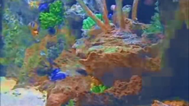 Binaural Relaxation: alpha to delta waves смотреть онлайн