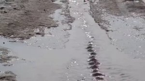 Весна (оригинал видео) - Игорь Растеряев