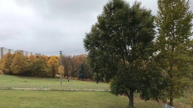 04.10.2019 ИГРУШКИ МАЛЫШУ + КНИЖНЫЕ ПОКУПКИ. ВЛОГ смотреть онлайн