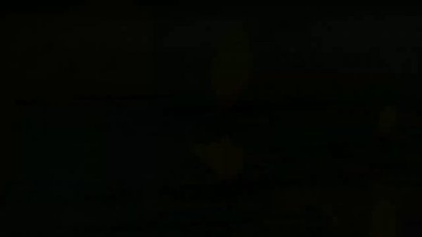 Mushrooms & Fungi : Special and Weird - looking / Fungus / EXPLORE Episode 16