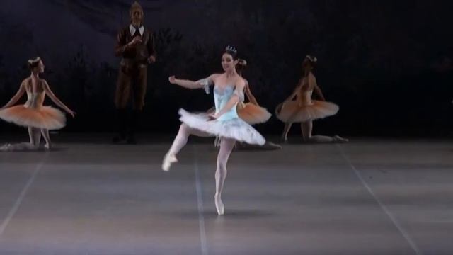 Alexandrova Dulcinea Variation Don Quixote Act 2 смотреть онлайн