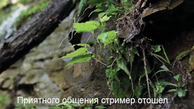 #Stream Игра на выбор смотреть онлайн