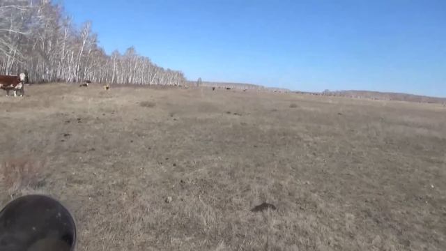 Первая съёмка в степи, Барин ведёт себя как начальник. смотреть онлайн