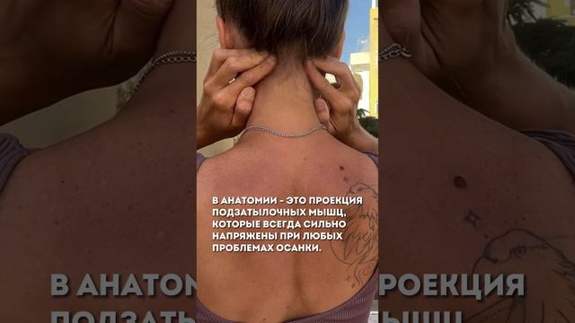 Чем полезна точка Конфуция или Фэн Чи? #массаж #упражнения #здоровье смотреть онлайн