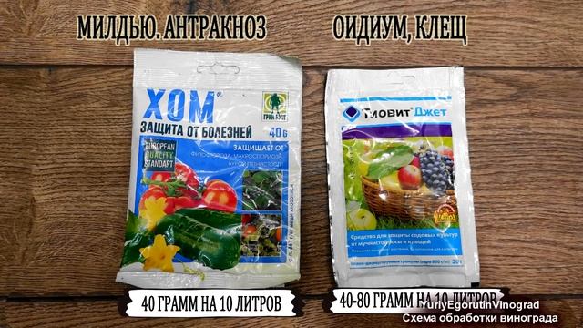 ? Виноград болеть не будет. Рабочая СХЕМА ОБРАБОТКИ от основных болезней из ДОСТУПНЫХ ПРЕПАРАТОВ.