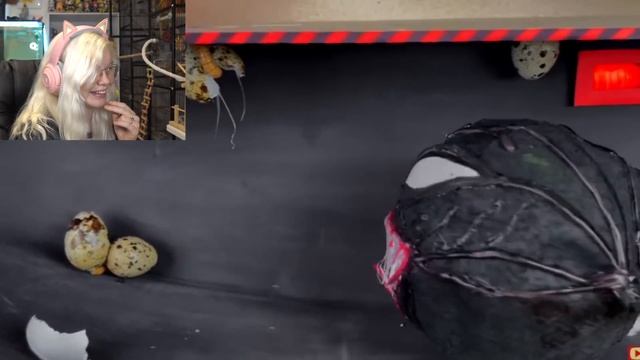 The Dark Side of YouTube Hamster Mazes смотреть онлайн