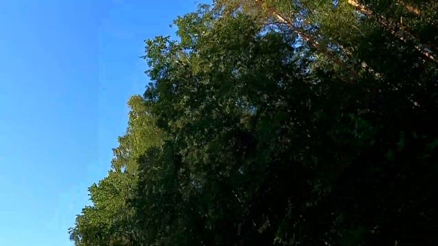 Микропутешествие в Псков и на Чудское озеро смотреть онлайн