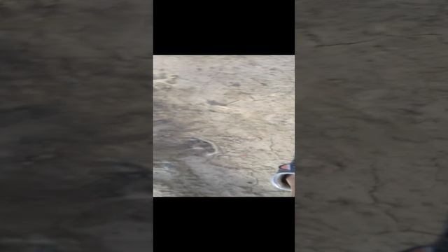 петарды от 25рублей и за 200