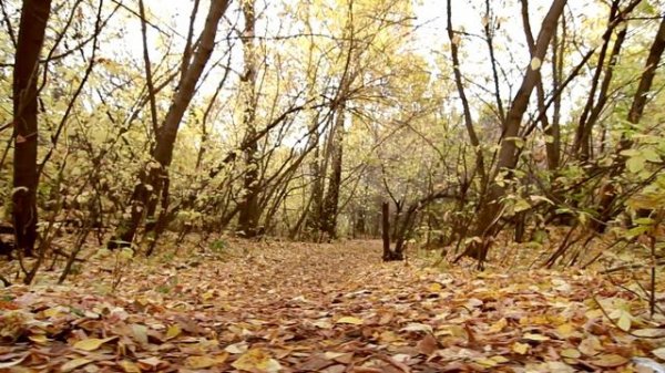 Camera test Дивногорск