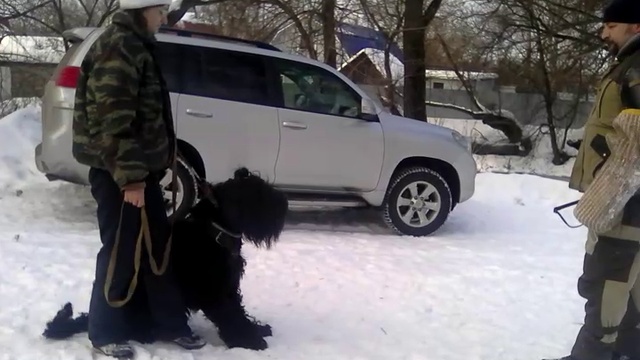 VID_20170215_094324 смотреть онлайн