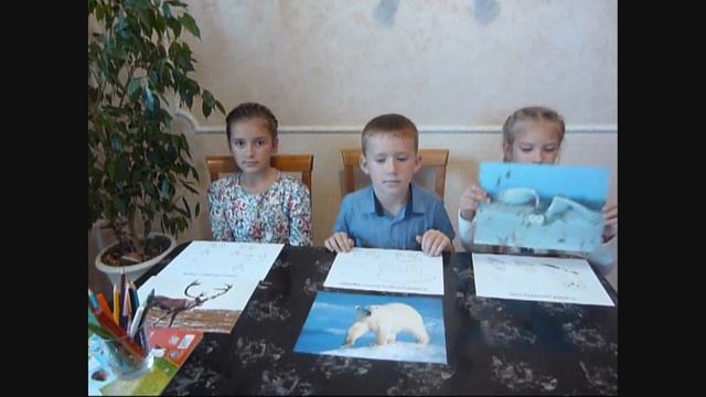Рисуем, раскрашиваем, обучаемся. Животные Севера смотреть онлайн