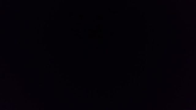 я нашла саду котёнок смотреть онлайн