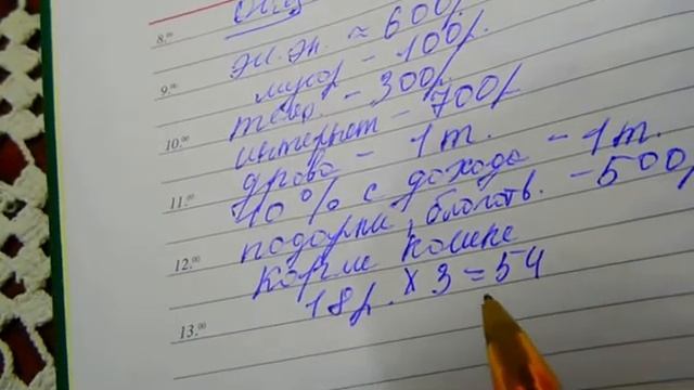 Как выжить на пенсию??? смотреть онлайн