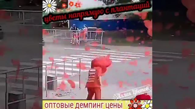 Тюмень: цветы оптом и в розницу от склада смотреть онлайн