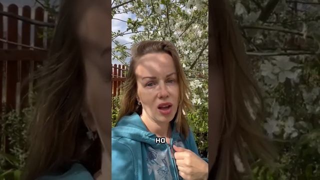 Какие деревья можно сажать рядом? смотреть онлайн