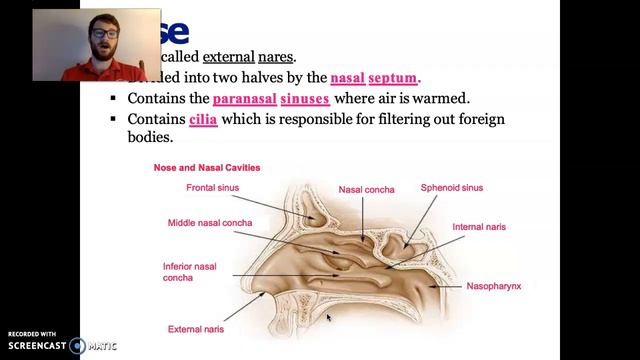 Anatomy Module 14 (pt. 1) смотреть онлайн