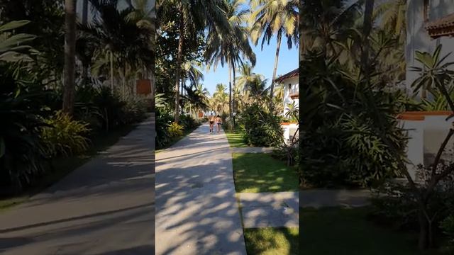 Отель Radisson Blu Resort, Кавелоссим, Южный Гоа Часть II смотреть онлайн