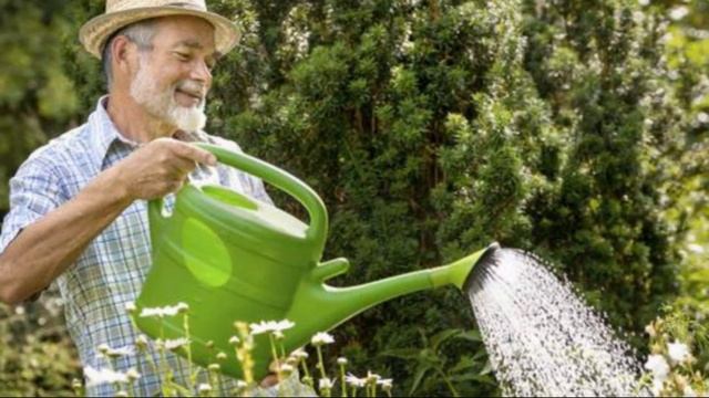 Уход за грушей весной смотреть онлайн