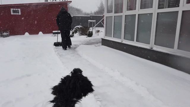 White winter смотреть онлайн