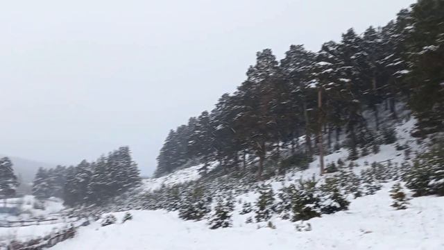 Зимний поход в лес