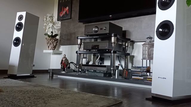 Pylon Diamond 25 / Denon 110 Anniversary - Dire Straits смотреть онлайн