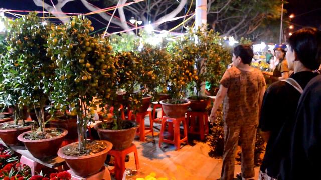 Vietnam 2017 - Flower Market - Part 11 смотреть онлайн